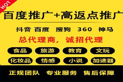 百度广告投放策略与效果评估案例